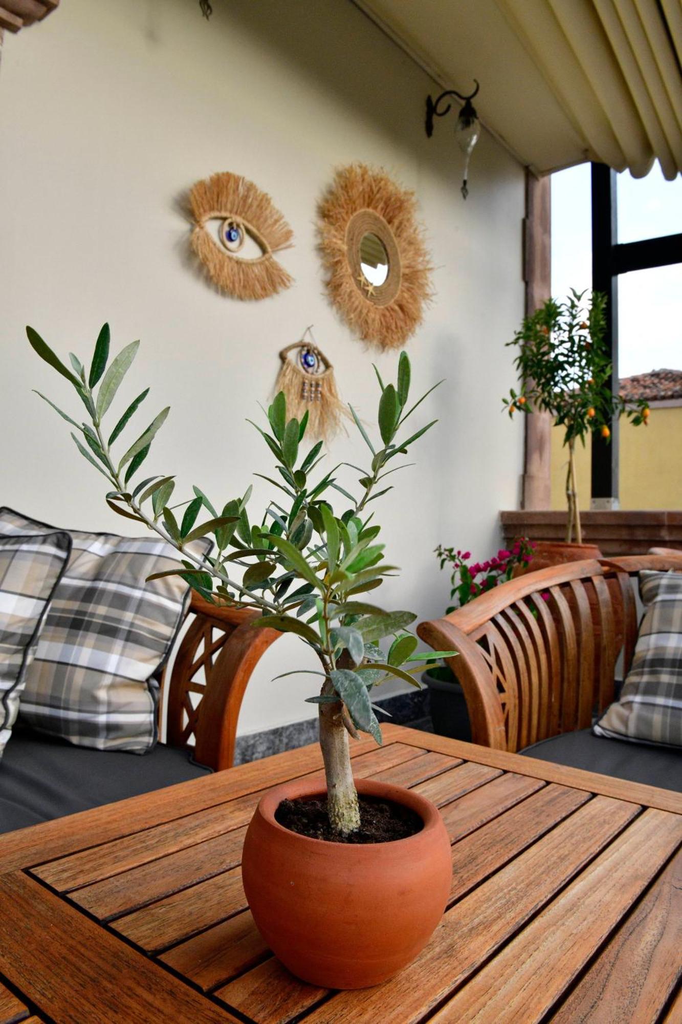 Siyah Lale Cunda 1841 (Adults Only) Hotel ไอวาลิค ภายนอก รูปภาพ