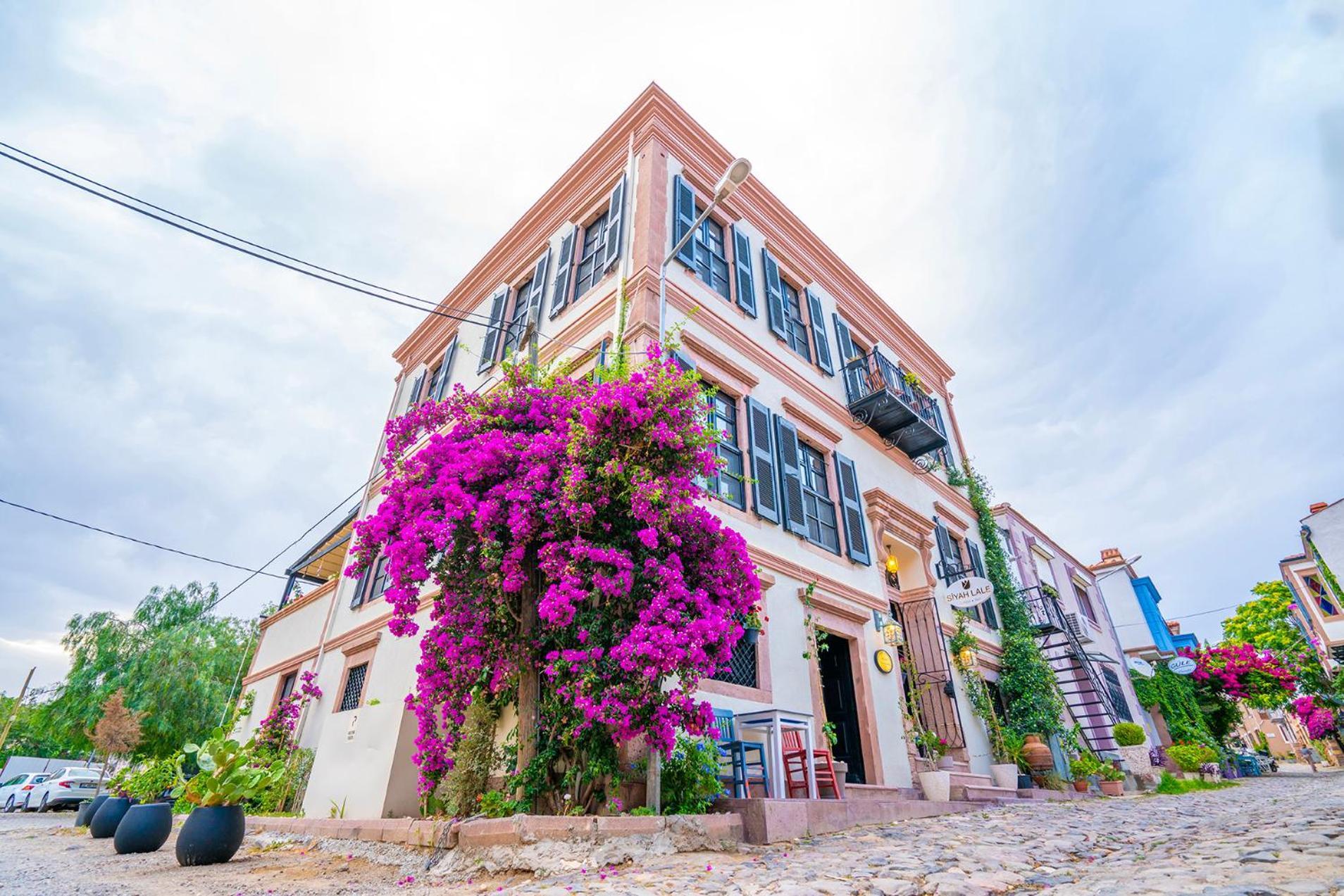 Siyah Lale Cunda 1841 (Adults Only) Hotel ไอวาลิค ภายนอก รูปภาพ