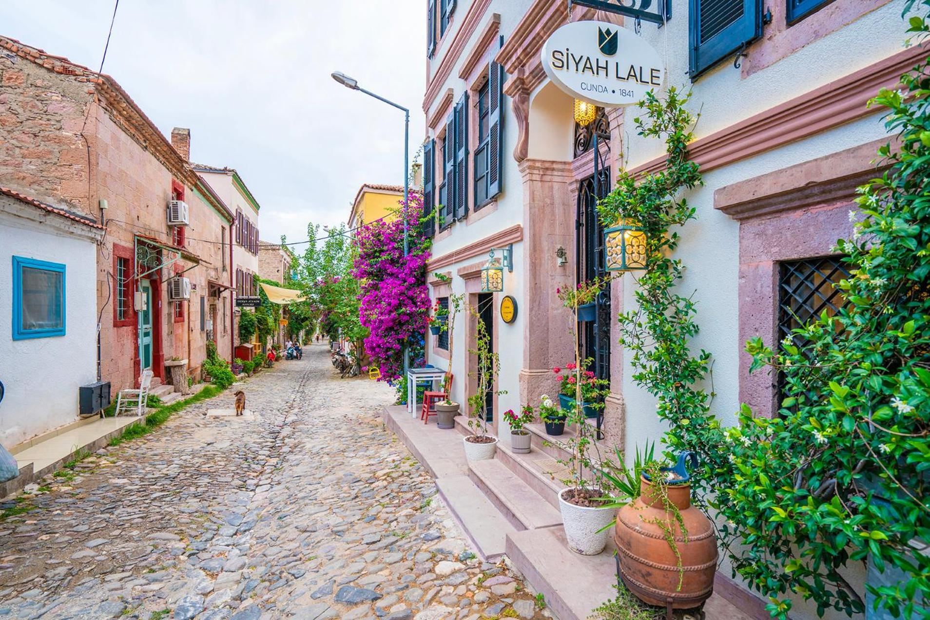 Siyah Lale Cunda 1841 (Adults Only) Hotel ไอวาลิค ภายนอก รูปภาพ