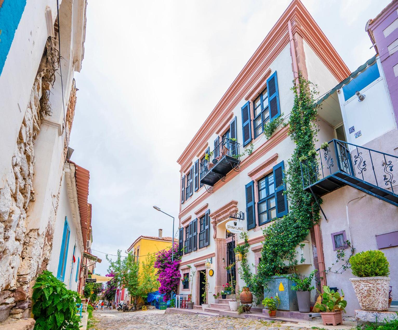 Siyah Lale Cunda 1841 (Adults Only) Hotel ไอวาลิค ภายนอก รูปภาพ